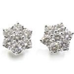 Pendientes orla o roseta de oro blanco 18k con 14 diamantes