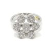 Anillo diamantes 7 circulos oro blanco