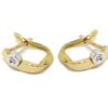 Pendientes oro amarillo/blanco circonitas