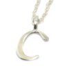 Colgante inicial C cadena plata