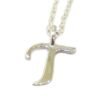 Colgante inicial T cadena plata