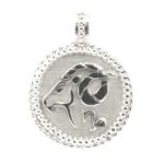 Medalla zodiaco capricornio 22mm plata