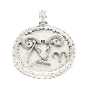 Medalla zodiaco capricornio 22mm plata