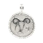 Medalla zodiaco capricornio 22mm plata