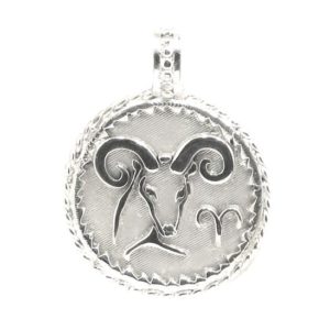 Medalla zodiaco capricornio 22mm plata