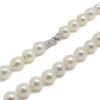Collar 49 perlas Akoya 7.5-8mm cierre oro