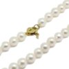 Collar 55 perlas Akoya 7-7.5mm cierre oro