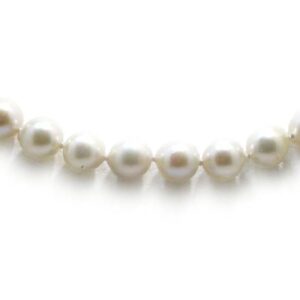 Collar 55 perlas Akoya 7-7.5mm cierre oro