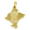 Colgante mapa Navarra escudo Plata bañada